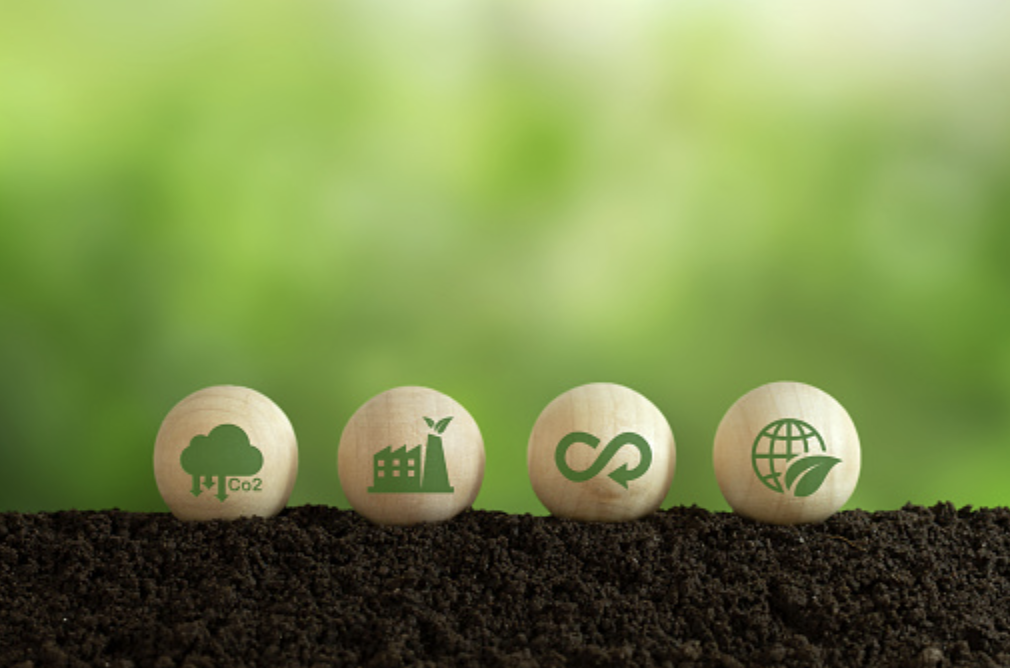 Sustainable Value Chain: Strategies for a Greener CPG Industry